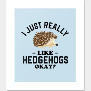 I Just Really Like Hedgehogs Posters and Art